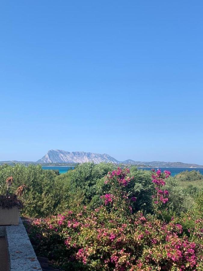 La Cinta Villa San Teodoro  Dış mekan fotoğraf